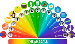 A Ph Scale On White Background 1928729