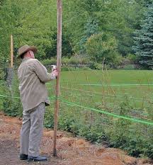Deer Fence Lee Valley Tools