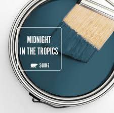 Midnight In The Tropics