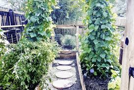 Designing Your Vegetable Garden A