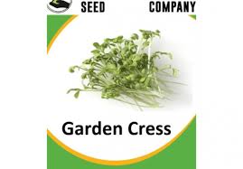 Garden Cress Seeds Simply African
