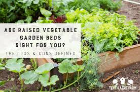 Are Raised Vegetable Garden Beds Right