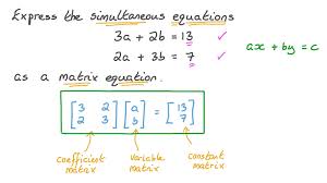 A Matrix Equation Nagwa