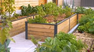 Raised Garden Beds Stock Footage