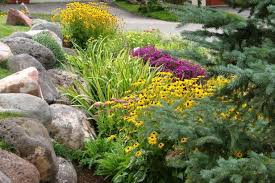 Rock Garden Ideas