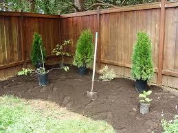 Shrub And Flower Bed