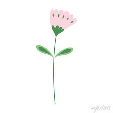 Pink Flower Stem Leaves Nature