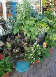 Container Gardening With Vegetables