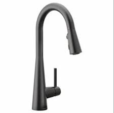 Arc Pulldown Kitchen Faucet