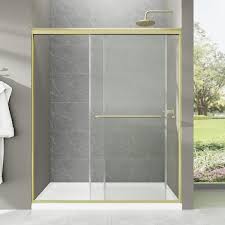 Double Sliding Frameless Shower Door