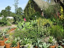 Juniper Botanical Gardens And Plant