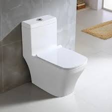 Floor Mounted Hindware Toilet Seat At