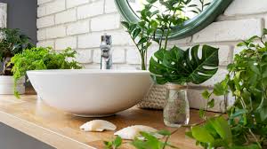 Your Bathroom Into A Tropical Oasis