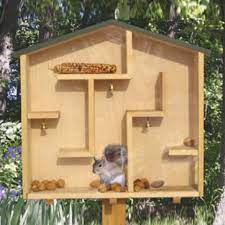 A Mazing Squirrel House Plan Work