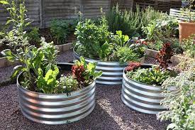 Container Gardening With Corrugated