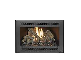 Gas Fireplace Insert Abundant Life