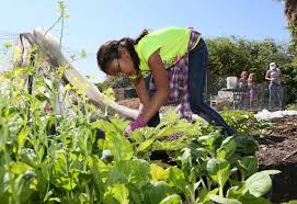 Junior Master Gardeners
