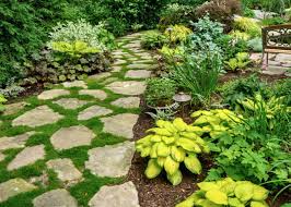 Our 12 Favorite Walkable Ground Covers