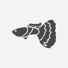 100 000 Snakehead Fish Vector Images