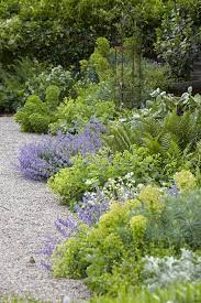 Plants For Paths How To Use Plants To