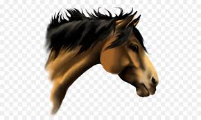 Horse Cartoon Png 550 531