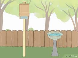 Attract Bats To A Bat House