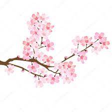 Spring Cherry Blossom Icon Stock Vector