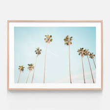 Palm View Modern Photography Wall Art