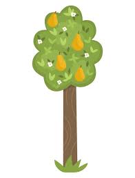 Vector Pear Tree Icon Isolated On White