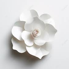 Paper Mache Flower On White Wall