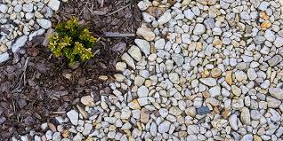 How To Get Rid Of Rocks In Your Yard