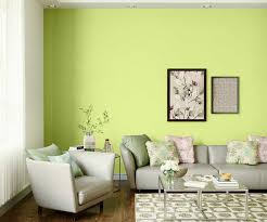 Guacamole Zing N 9818 House Wall