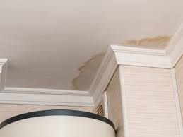 Unexpected Hazards Of A Leaky Roof