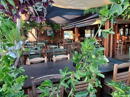 Costas Koloni Tavern Paphos Cyprus Mail