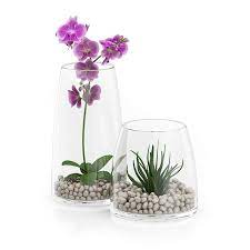 Orchid Flower In Glass Pot 3d Model