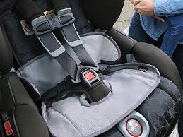 Britax Waterproof Seat Protector Baby
