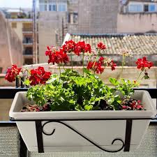 17 In Rectangle Window Box Planter Window Plant Box Herb Planter Plastic Herb Pots For Indoor Plants 12 Pieces