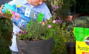 Ways To Improve Drainage For Plant Pots