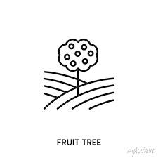 Fruit Tree Vector Line Icon Simple