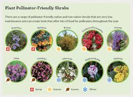 Gardens All Ireland Pollinator Plan