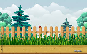 Wooden Fence Grass Trees