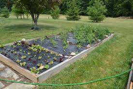 Easy Plant Weed Block Mulch