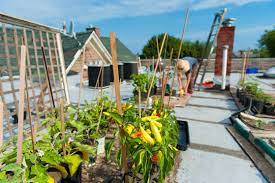 Rooftop Farming Images Browse 15 637