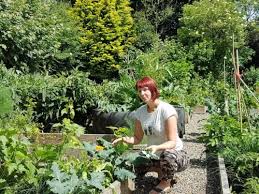 Climate Change Savvy Gardening From The