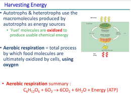 Bio 215 Exam 3 Flashcards Quizlet