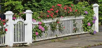 How To Choose Fence Paint Colours Promain