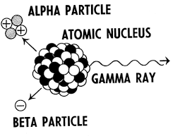 Radioactive Decay Formula Types