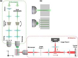 Fluorescent Microscopy