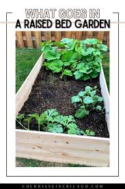 What Goes In A Raised Bed Garden