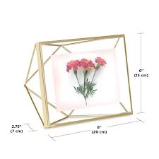 Matte Brass Picture Frame 313016 221